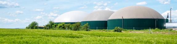 Biogasbeschaffung