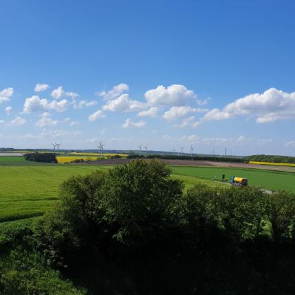 Erneuerbare Energiebeschaffung