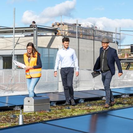 Entwicklung Wärmenetze