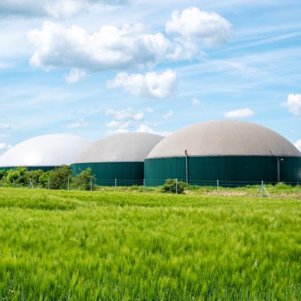 Biogasbeschaffung