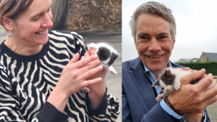 Renera Biogas Agrop Energiek