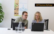 Sunwin Italia verkauft ein grosses Freiflächen-PV-Portfolio